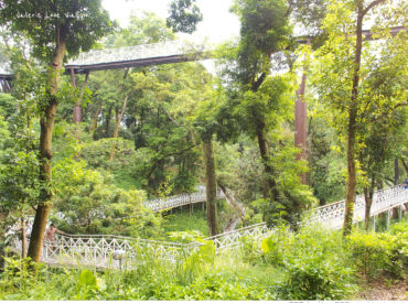 【嘉義 Chiayi】竹崎親水公園午後散步 天空走廊與花仙子步道 沉浸森林裡的芬多精 旅遊部落格
國內外旅遊 美食餐廳 攝影