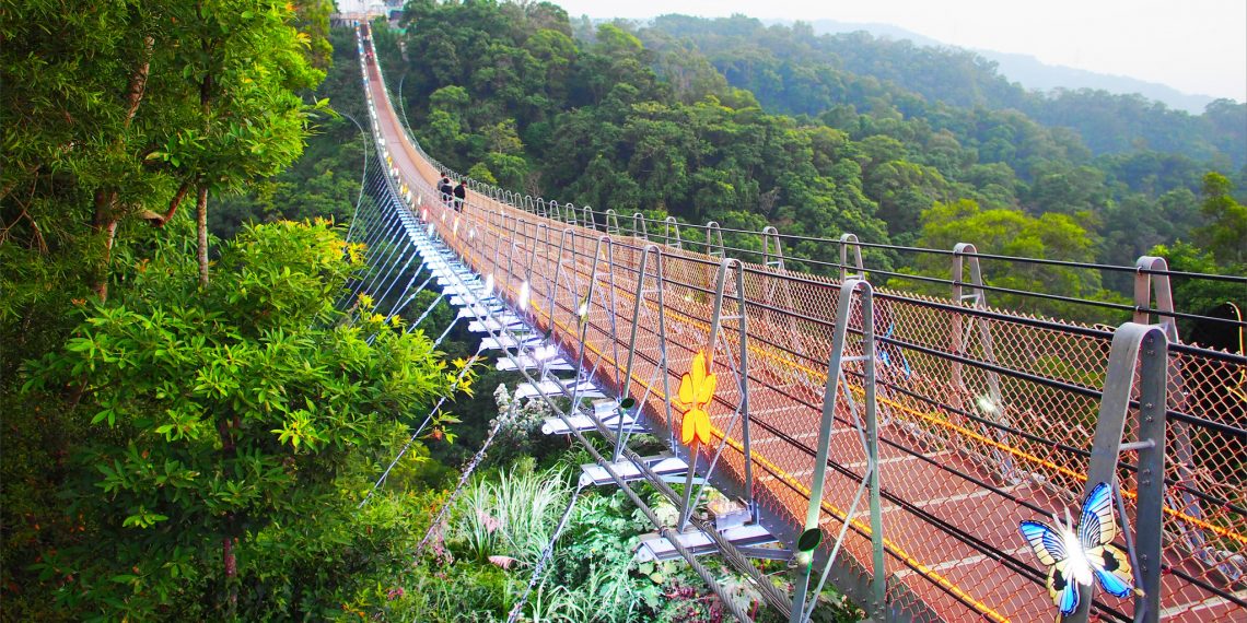【南投 Nantou】猴探井風景區天空之橋 吊橋上欣賞一覽無遺的彰化平原及夕陽
