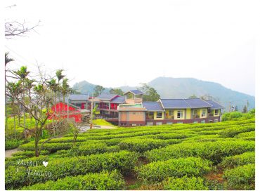 【雲林 Yunlin】古坑樟湖國小 緊鄰茶園森林的繽紛建築 台灣首座森林生態中小學 旅遊部落格
國內外旅遊 美食餐廳 攝影