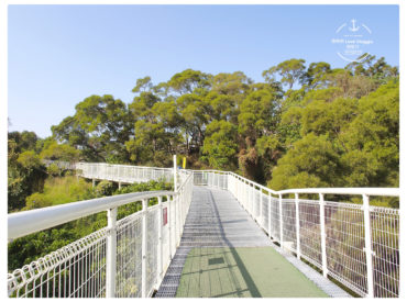 【彰化 Changhwa】八卦山天空步道 台灣最長高空步道 俯瞰大佛風景區 彰化市景 旅遊部落格
國內外旅遊 美食餐廳 攝影