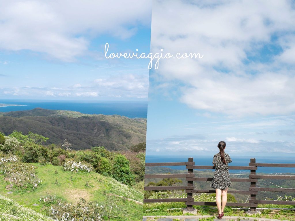 來台東旅行吧！20＋台東拍照打卡 山線與海線景點分享 @薇樂莉 Love Viaggio | 旅行.生活.攝影